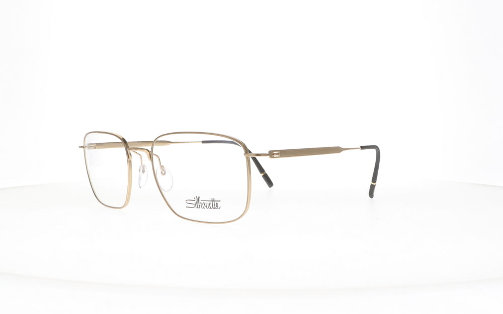 Silhouette  PURE VISIONARY 5591