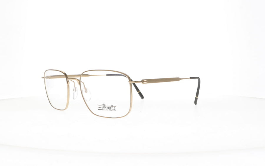 Silhouette  PURE VISIONARY 5591