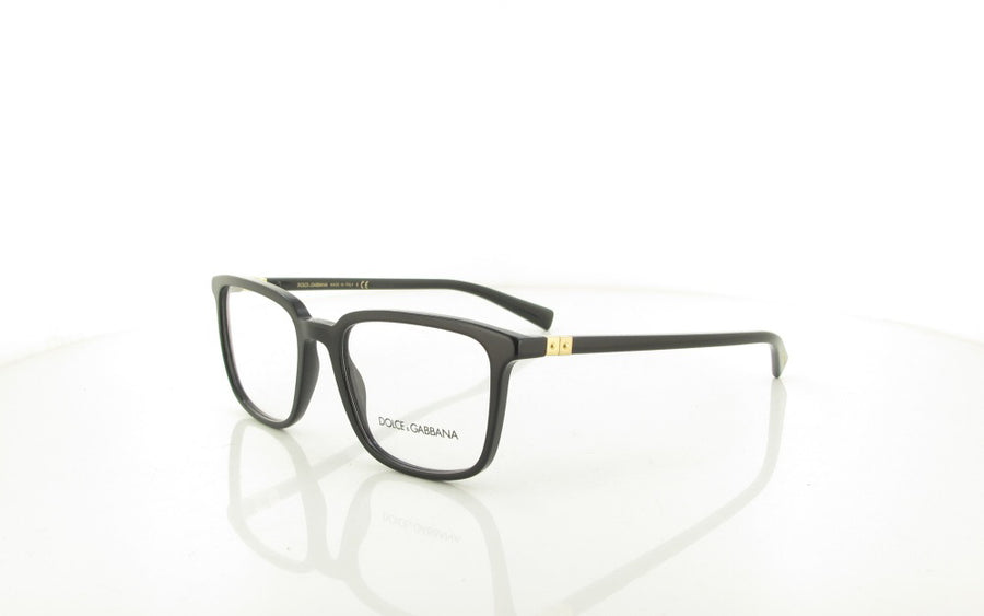 Dolce & Gabbana DG 3304
