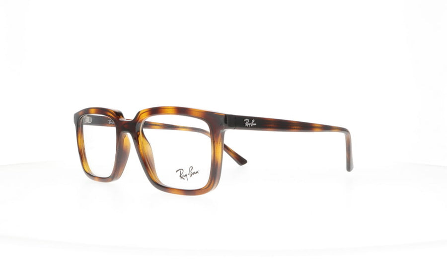 Ray-Ban RX 7239 ALAIN