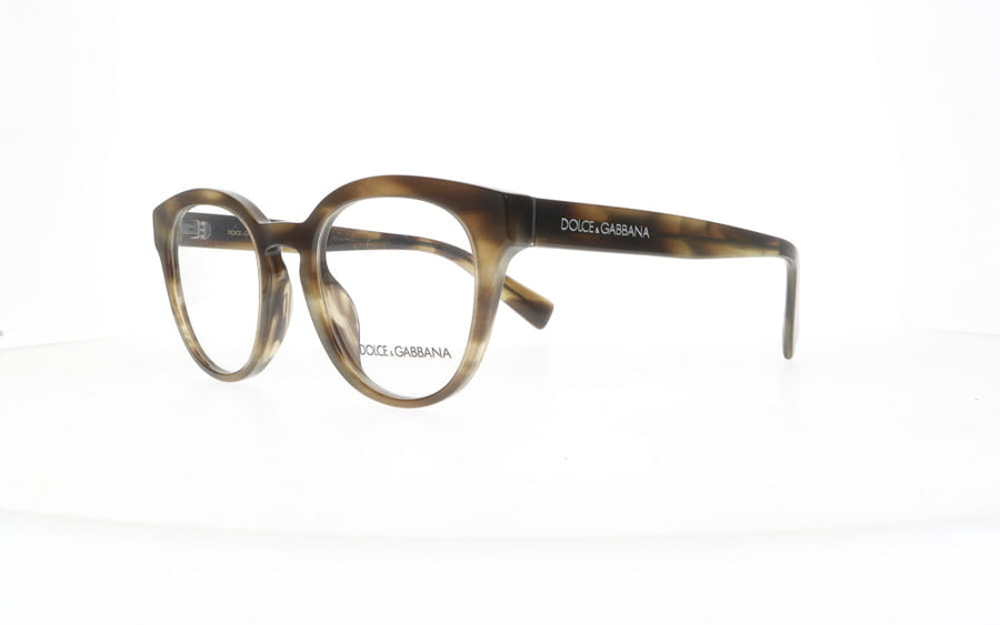 Dolce & Gabbana DG 3421