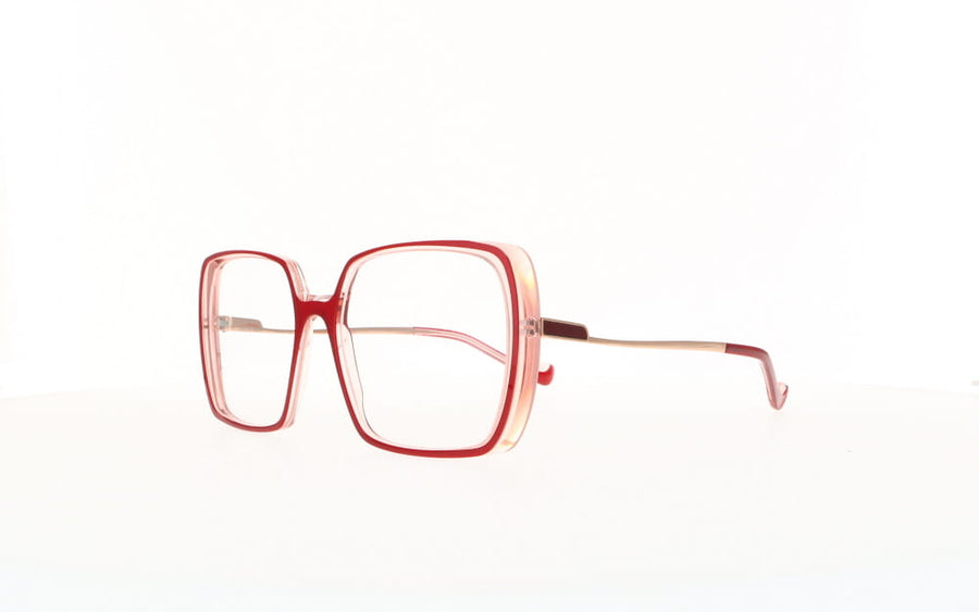 Caroline Abram  IRINA