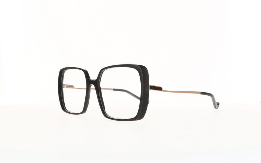 Caroline Abram  IRINA