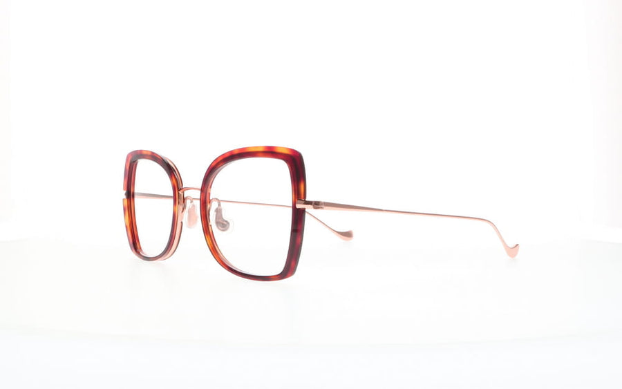 Caroline Abram  WILDA