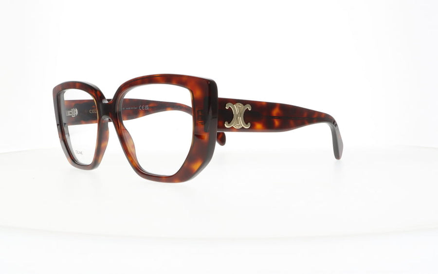 Celine CL 50146I