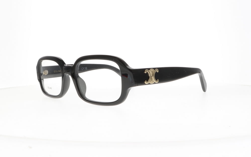 Celine CL 50173I