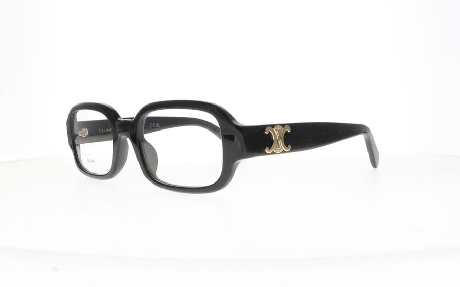 Celine CL 50173I