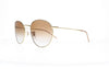 Ray-Ban RB 0103 ROUND REVERSE