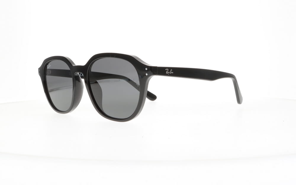 Ray-Ban RB 4459D