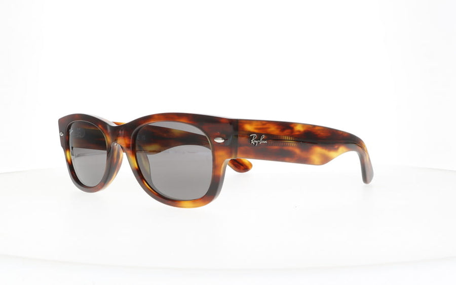 Ray-Ban RB 0832