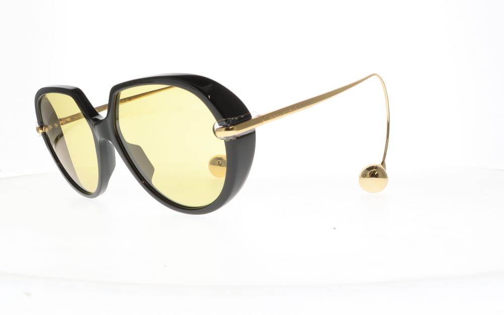 Bottega Veneta BV 1436