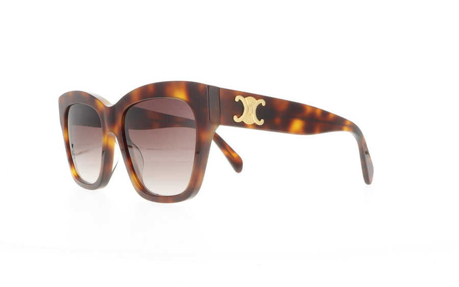 Celine CL 40253I