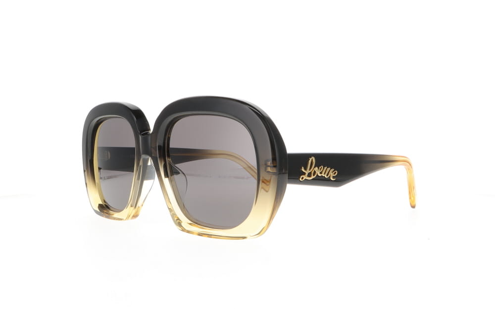 Loewe LW 40113U