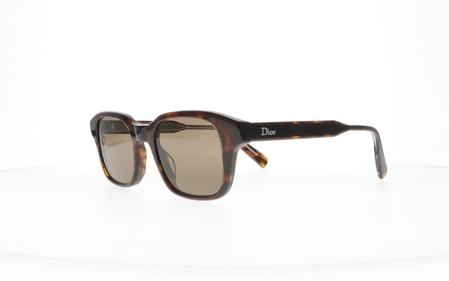 Dior  RIBBON S1I