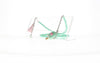Fifi's World FK010 FIO KIDS VERDE MENTA E GELADO